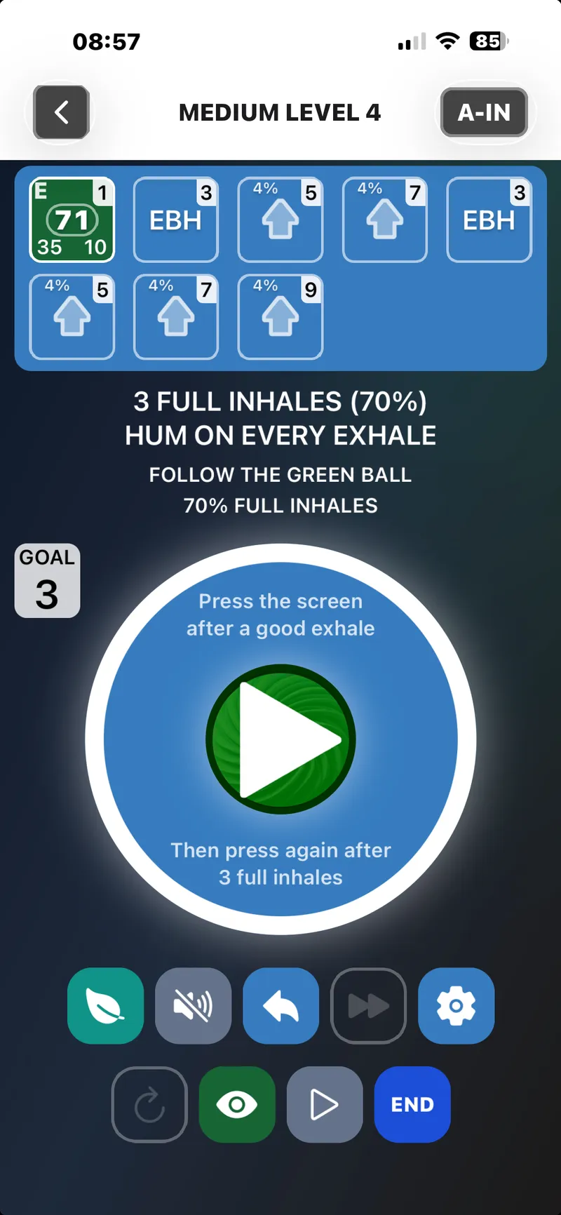 The app at the preparatory big breaths, showing how many full inhales to take before the breath-hold begins
