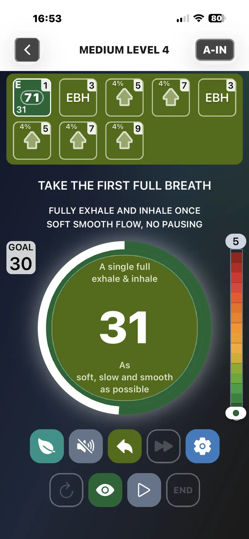 The app mid-session during the first full breath, showing the live breath training zone and this round's goal